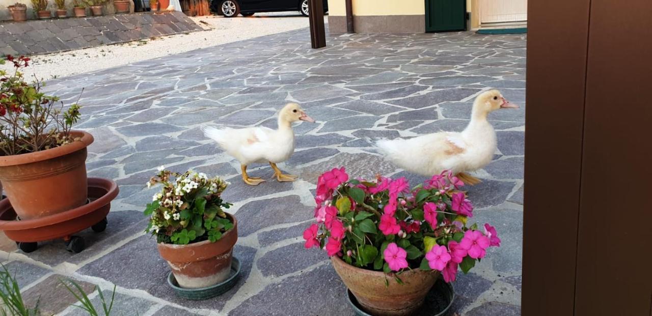 Borgo Tarapino Hotel แฟร์รารา ภายนอก รูปภาพ