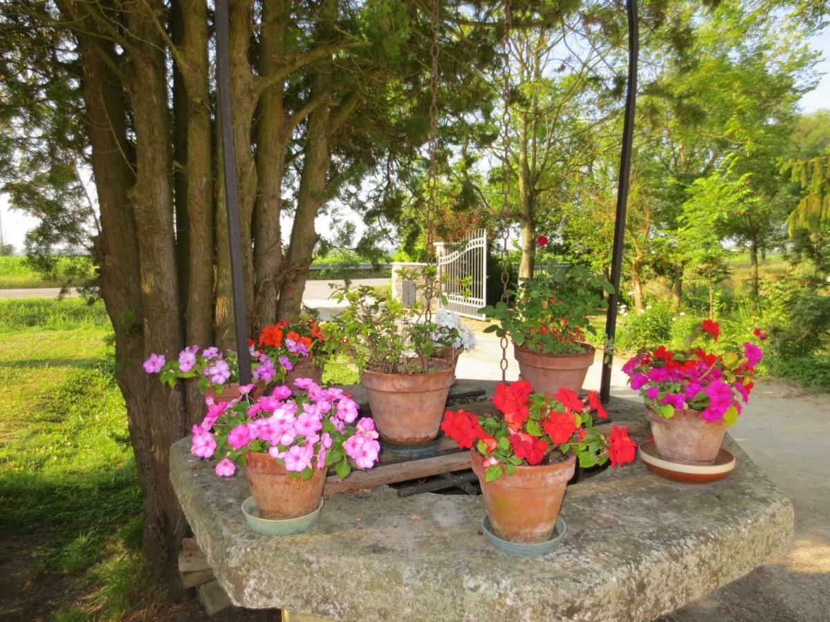 Borgo Tarapino Hotel แฟร์รารา ภายนอก รูปภาพ